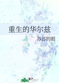 重生的华尔兹