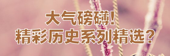 大气磅礴！精彩历史系列精选